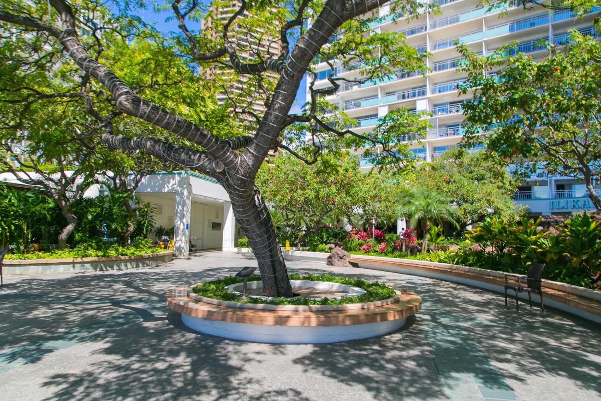 Ilikai Tower 642 Lagoon View 1Br Apartment Honolulu Exterior photo